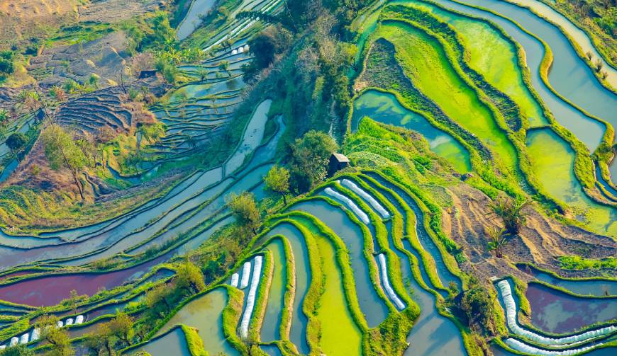 宝妈必备神器：弋江区产品视频拍摄轻松育儿好帮手