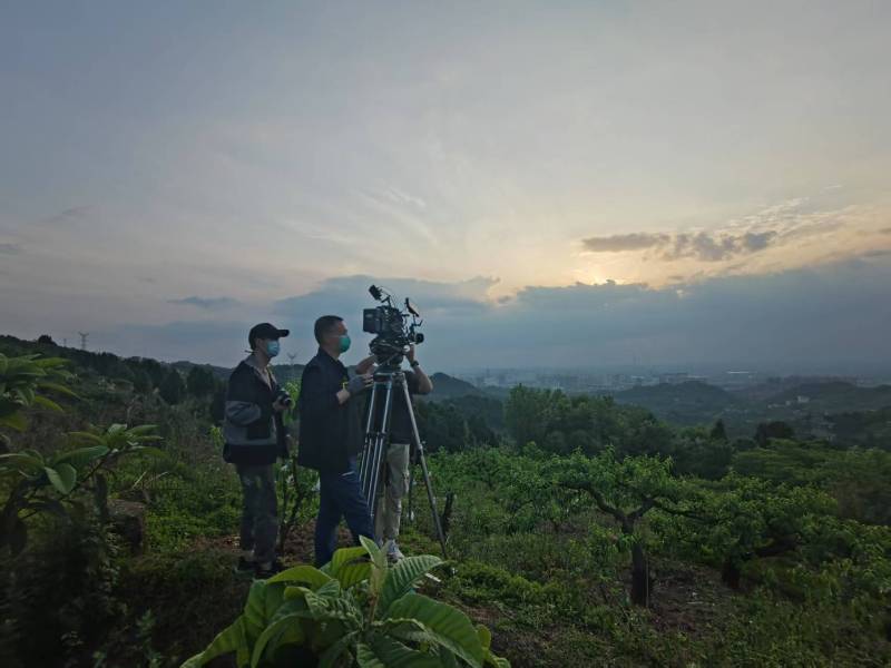 创意破圈！弋江区电商产品宣传视频用故事化叙事引爆流量
