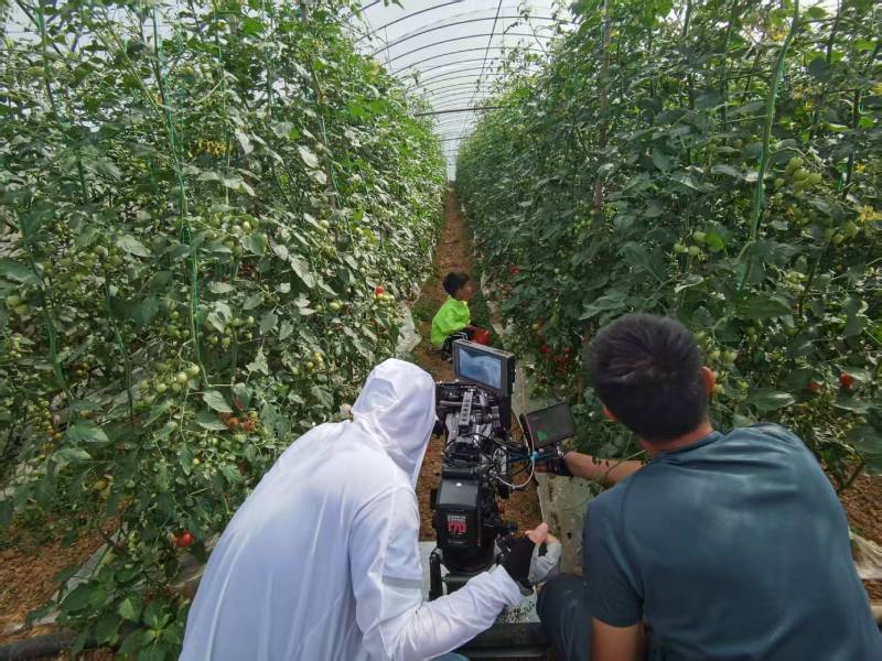 弋江区产品宣传视频拍摄公司进阶指南，助力品牌抢占传播高地